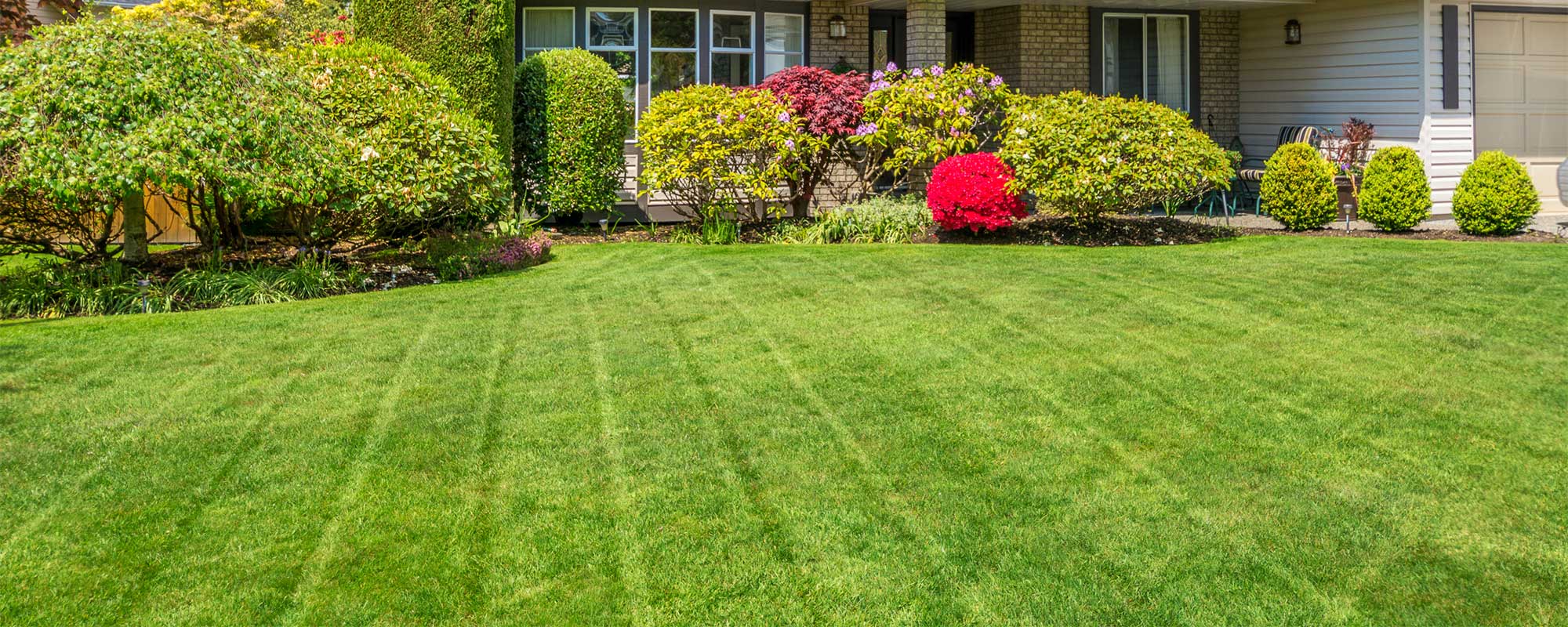 Freshly Mowed Lawn